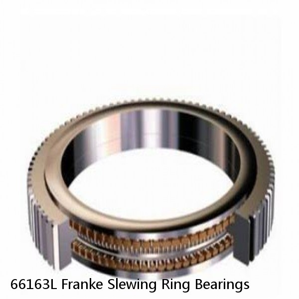 66163L Franke Slewing Ring Bearings