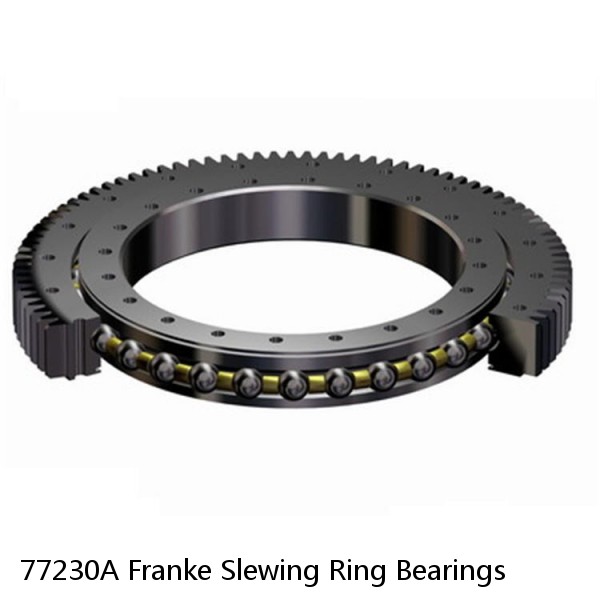 77230A Franke Slewing Ring Bearings