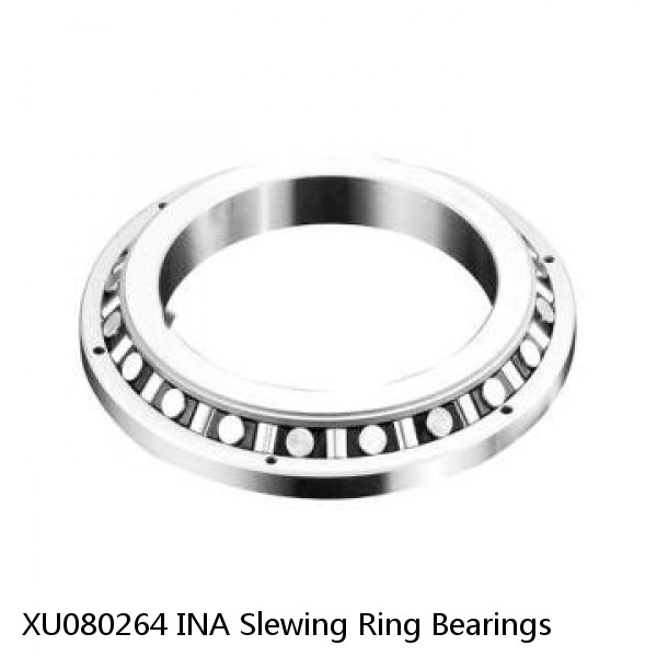 XU080264 INA Slewing Ring Bearings