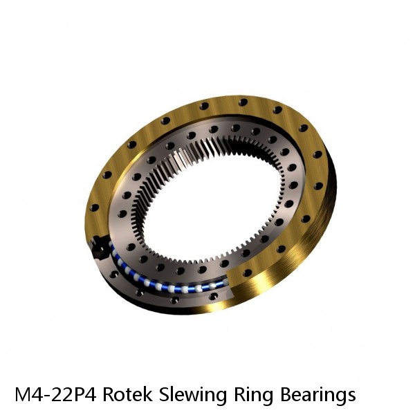 M4-22P4 Rotek Slewing Ring Bearings