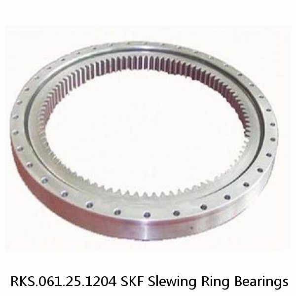 RKS.061.25.1204 SKF Slewing Ring Bearings