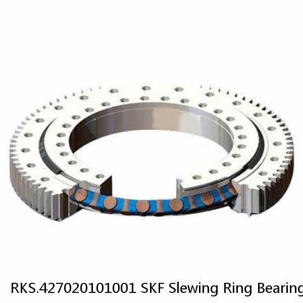 RKS.427020101001 SKF Slewing Ring Bearings