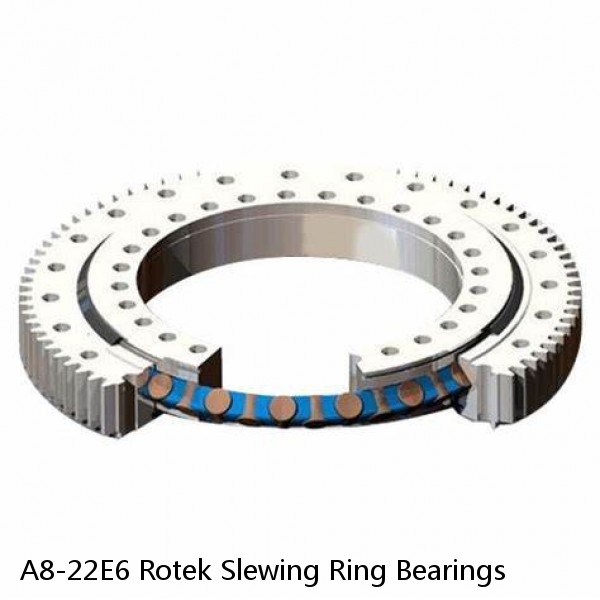 A8-22E6 Rotek Slewing Ring Bearings