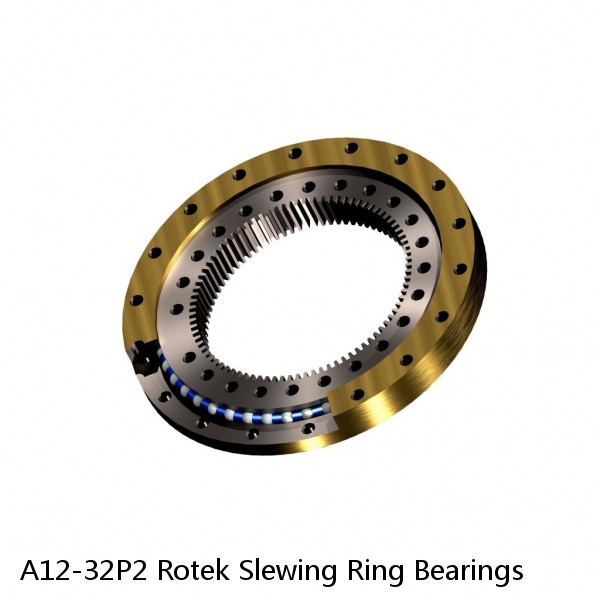 A12-32P2 Rotek Slewing Ring Bearings