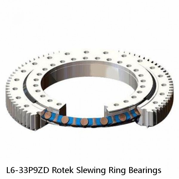 L6-33P9ZD Rotek Slewing Ring Bearings