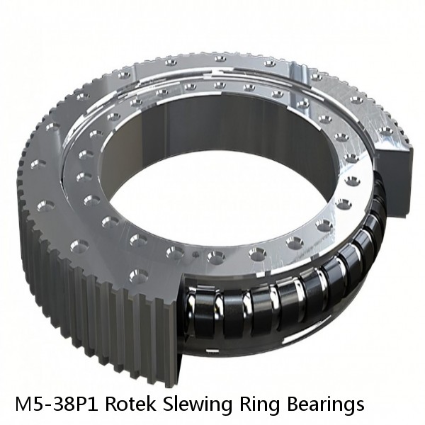 M5-38P1 Rotek Slewing Ring Bearings