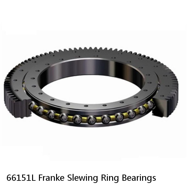 66151L Franke Slewing Ring Bearings