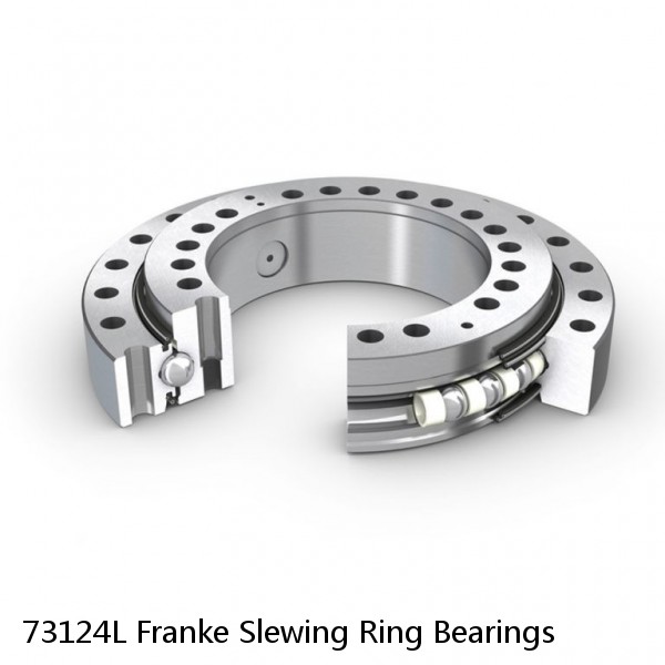 73124L Franke Slewing Ring Bearings