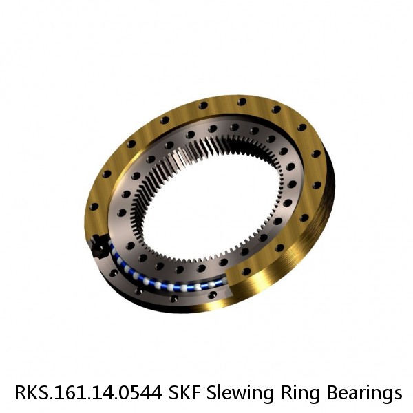 RKS.161.14.0544 SKF Slewing Ring Bearings