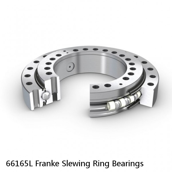 66165L Franke Slewing Ring Bearings