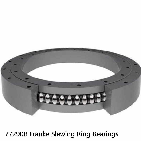 77290B Franke Slewing Ring Bearings