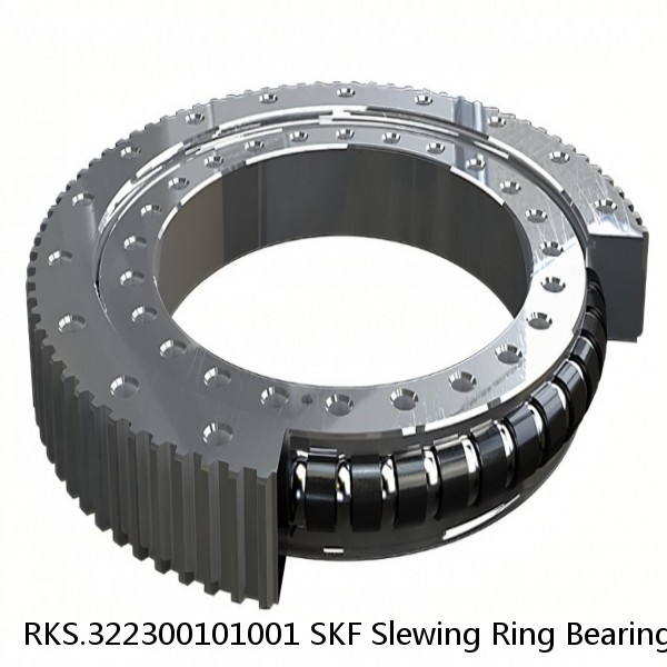 RKS.322300101001 SKF Slewing Ring Bearings