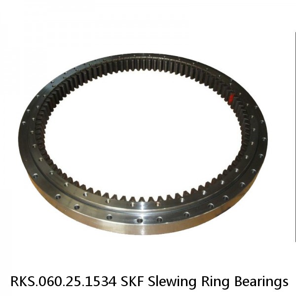 RKS.060.25.1534 SKF Slewing Ring Bearings