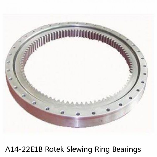 A14-22E1B Rotek Slewing Ring Bearings