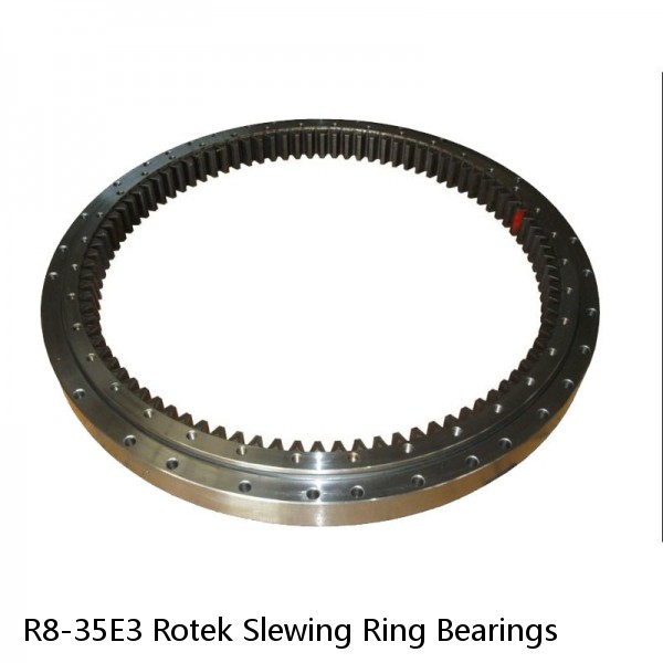 R8-35E3 Rotek Slewing Ring Bearings