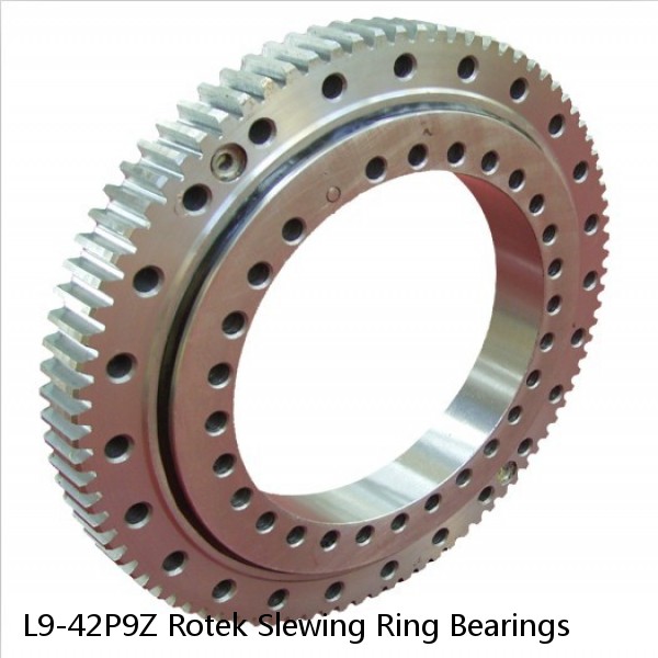 L9-42P9Z Rotek Slewing Ring Bearings