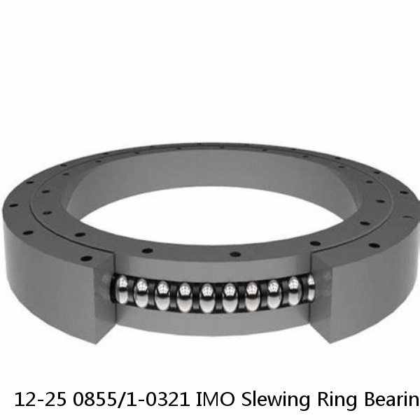 12-25 0855/1-0321 IMO Slewing Ring Bearings