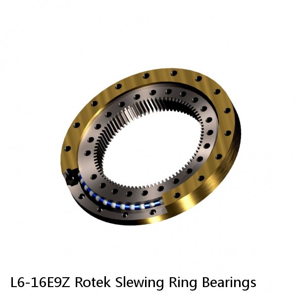 L6-16E9Z Rotek Slewing Ring Bearings