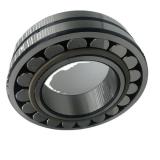 Custom Holga Pinhole Lens for Sony SLR&DSLR Camera