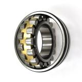Hot Sale SKF Chrome Steel Snl 516 Bearing with Housing