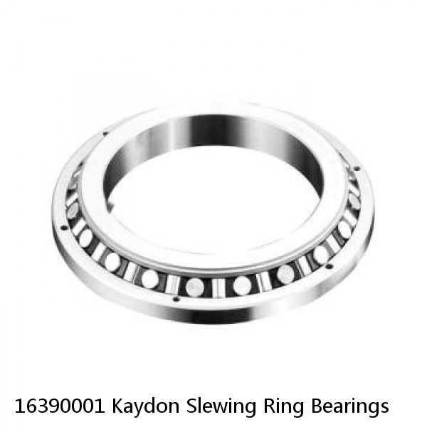 16390001 Kaydon Slewing Ring Bearings