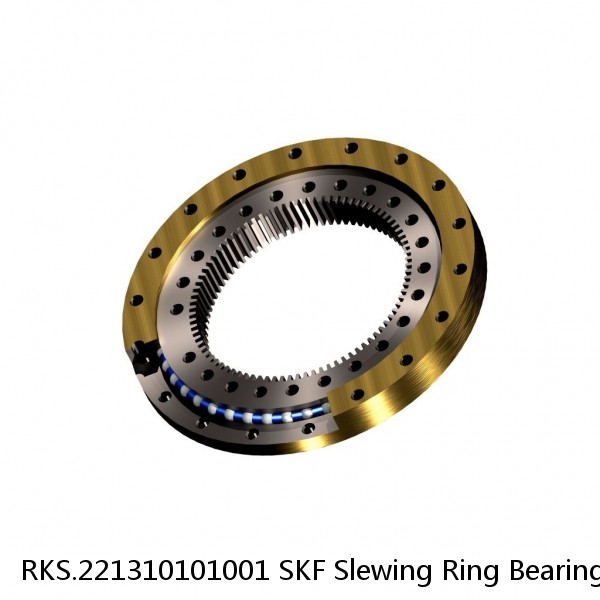 RKS.221310101001 SKF Slewing Ring Bearings