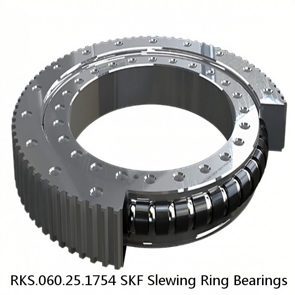 RKS.060.25.1754 SKF Slewing Ring Bearings