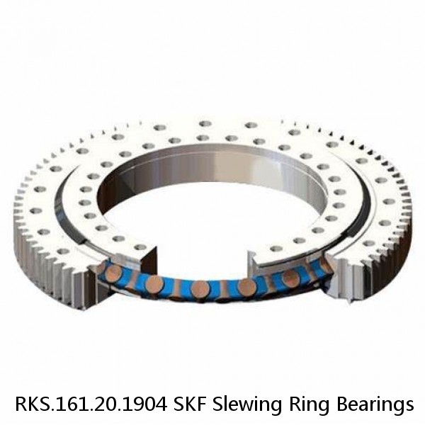 RKS.161.20.1904 SKF Slewing Ring Bearings