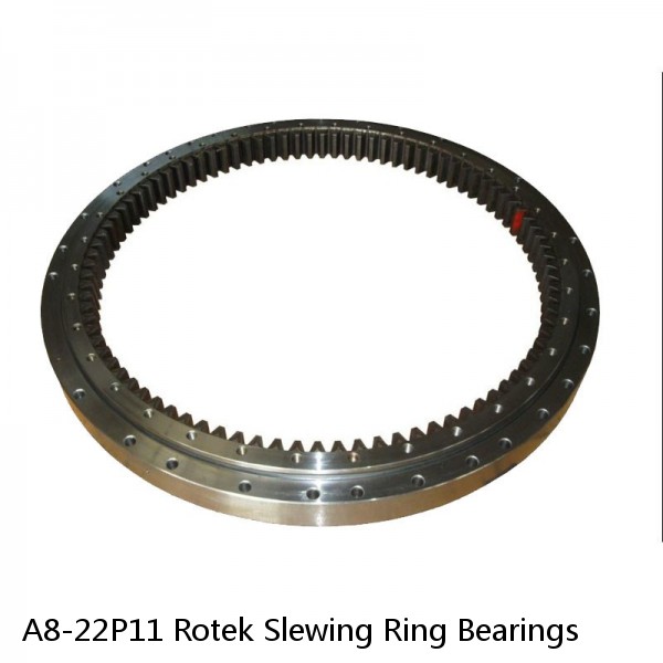 A8-22P11 Rotek Slewing Ring Bearings