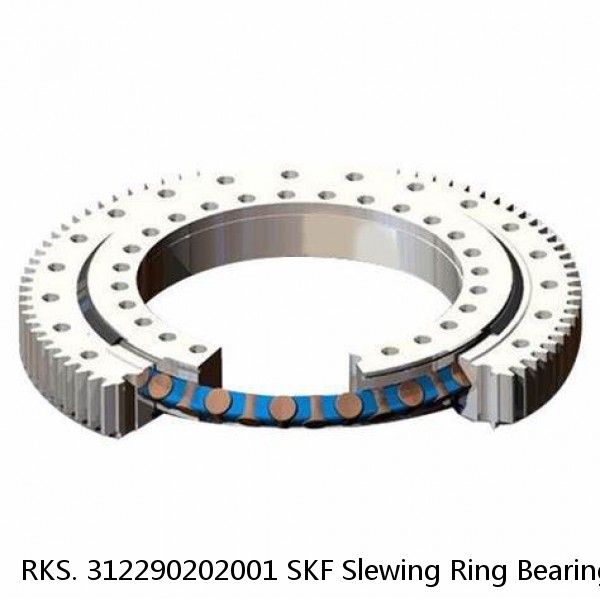 RKS. 312290202001 SKF Slewing Ring Bearings