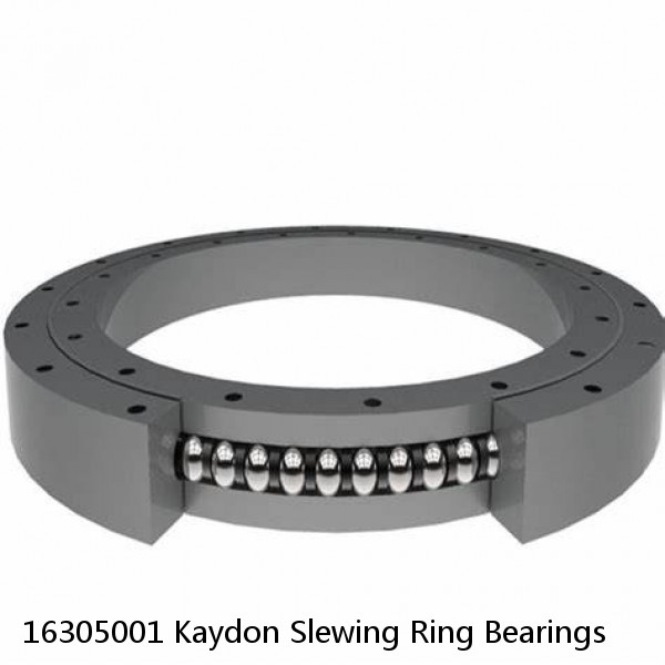 16305001 Kaydon Slewing Ring Bearings