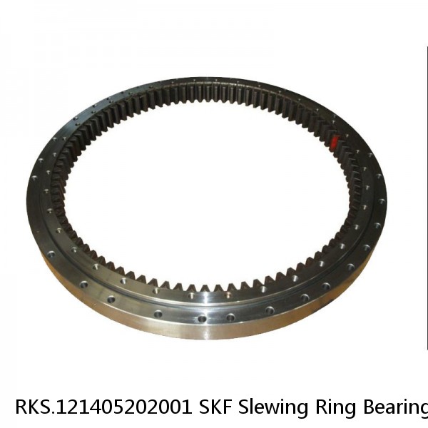 RKS.121405202001 SKF Slewing Ring Bearings