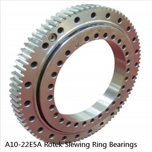 A10-22E5A Rotek Slewing Ring Bearings