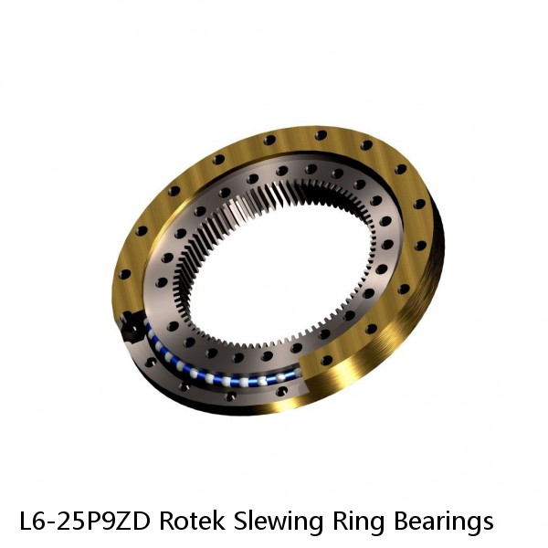 L6-25P9ZD Rotek Slewing Ring Bearings