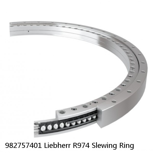 982757401 Liebherr R974 Slewing Ring