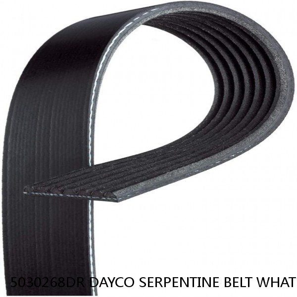 5030268DR DAYCO SERPENTINE BELT WHAT'S THE BEST PRICE ON BELTS