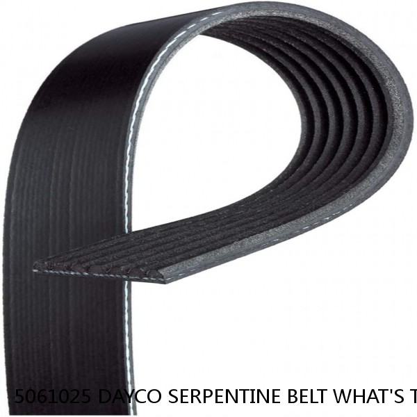 5061025 DAYCO SERPENTINE BELT WHAT'S THE BEST PRICE ON BELTS5061025 /