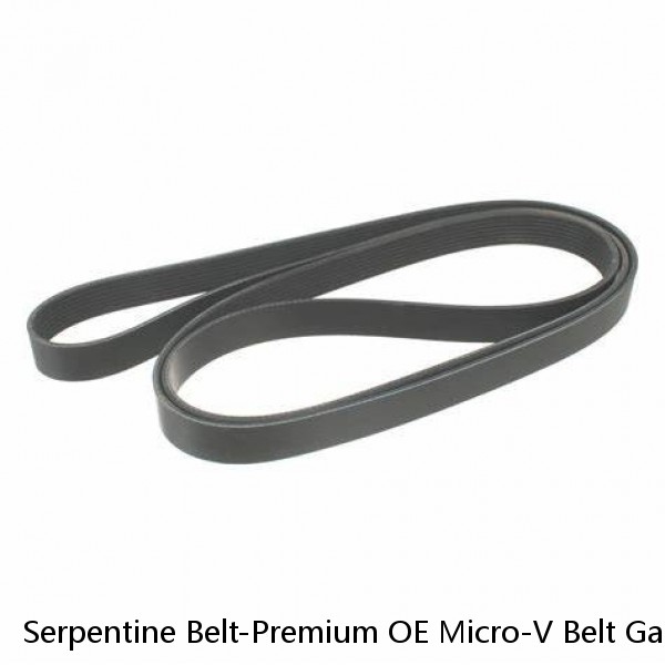 Serpentine Belt-Premium OE Micro-V Belt Gates K060667 6pk1694